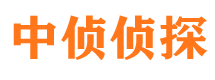 维扬侦探公司